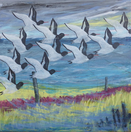 Strandskader 80x80