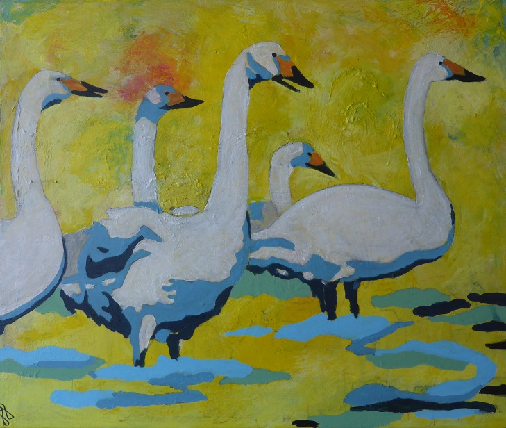 Sangsvaner 50x40