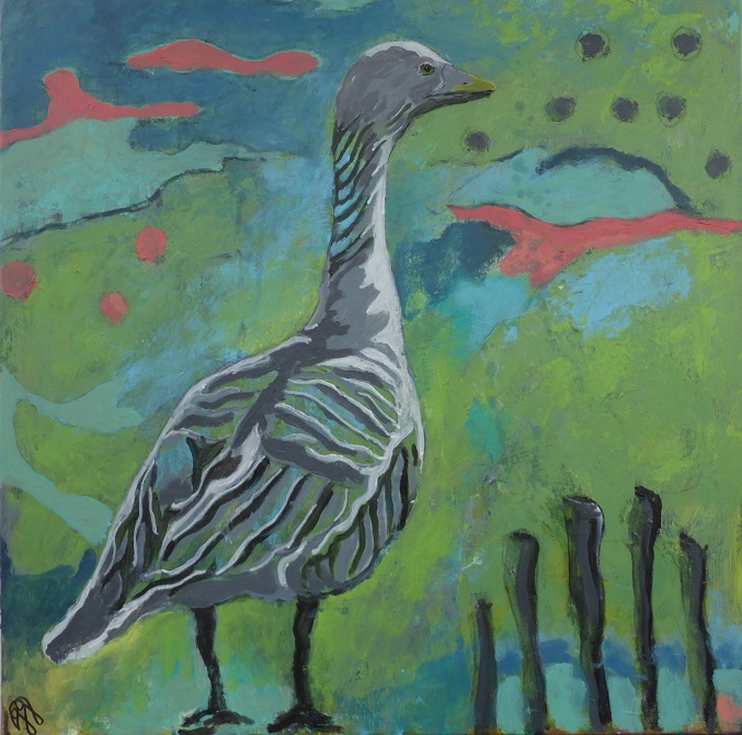 Grågås 60x60 