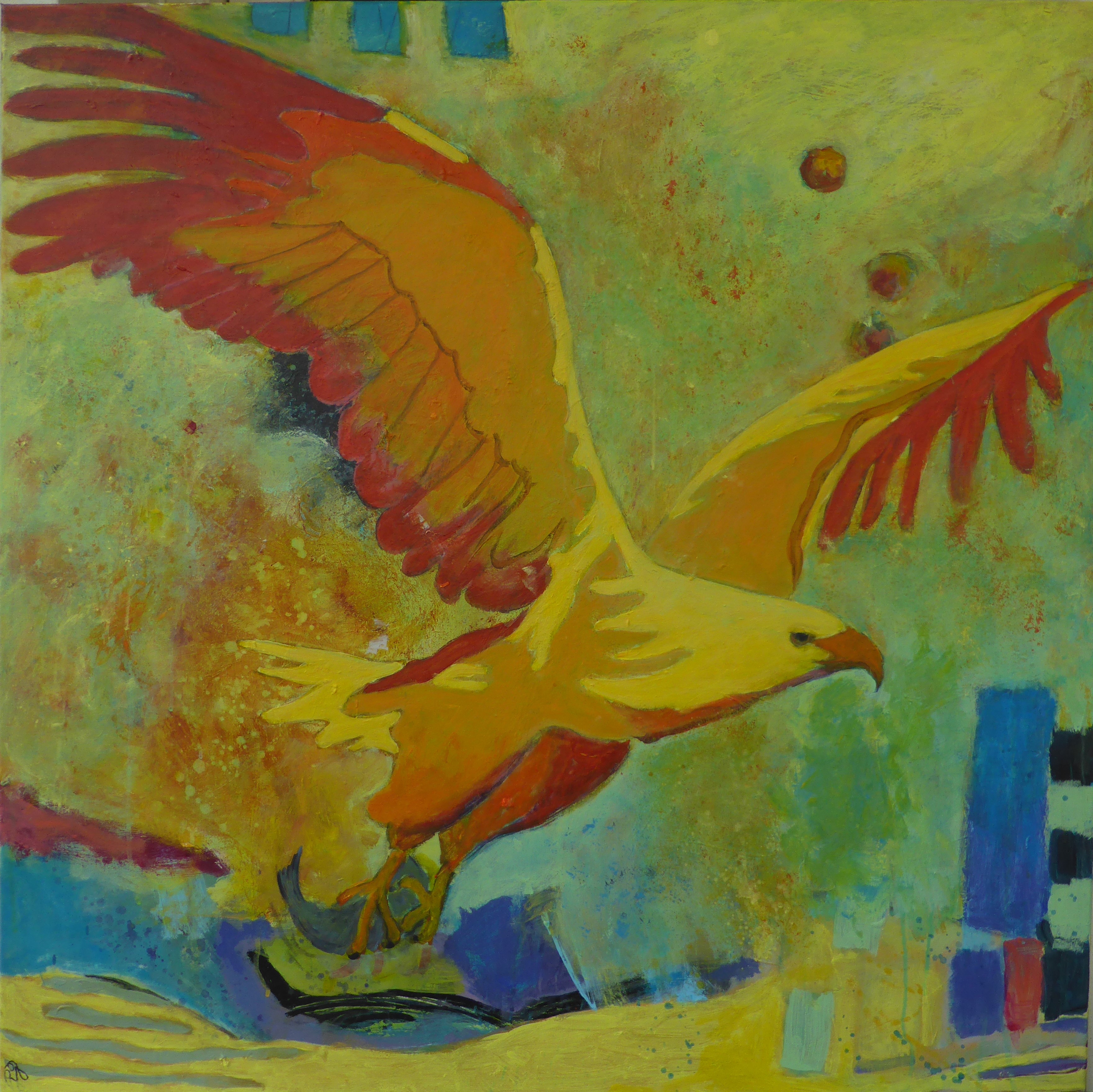 Havørn 90x9+